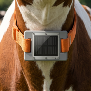 Solar GPS & Activity Tracker tracker για αγελάδες